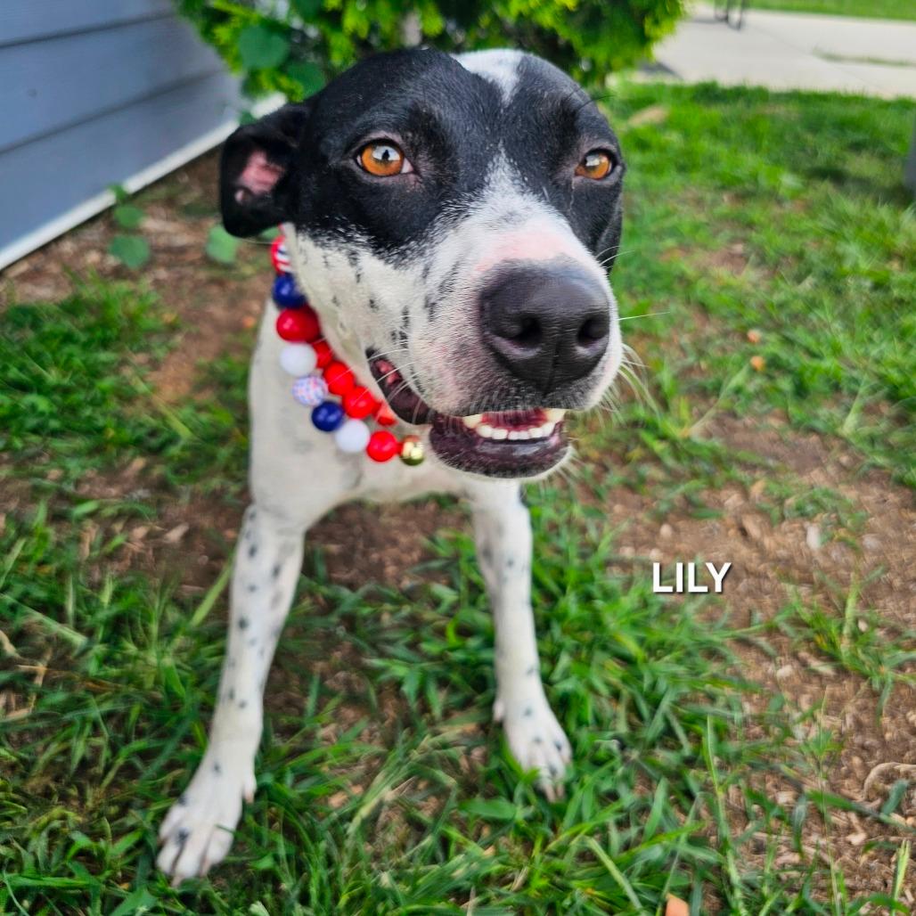 Lily (Mama)