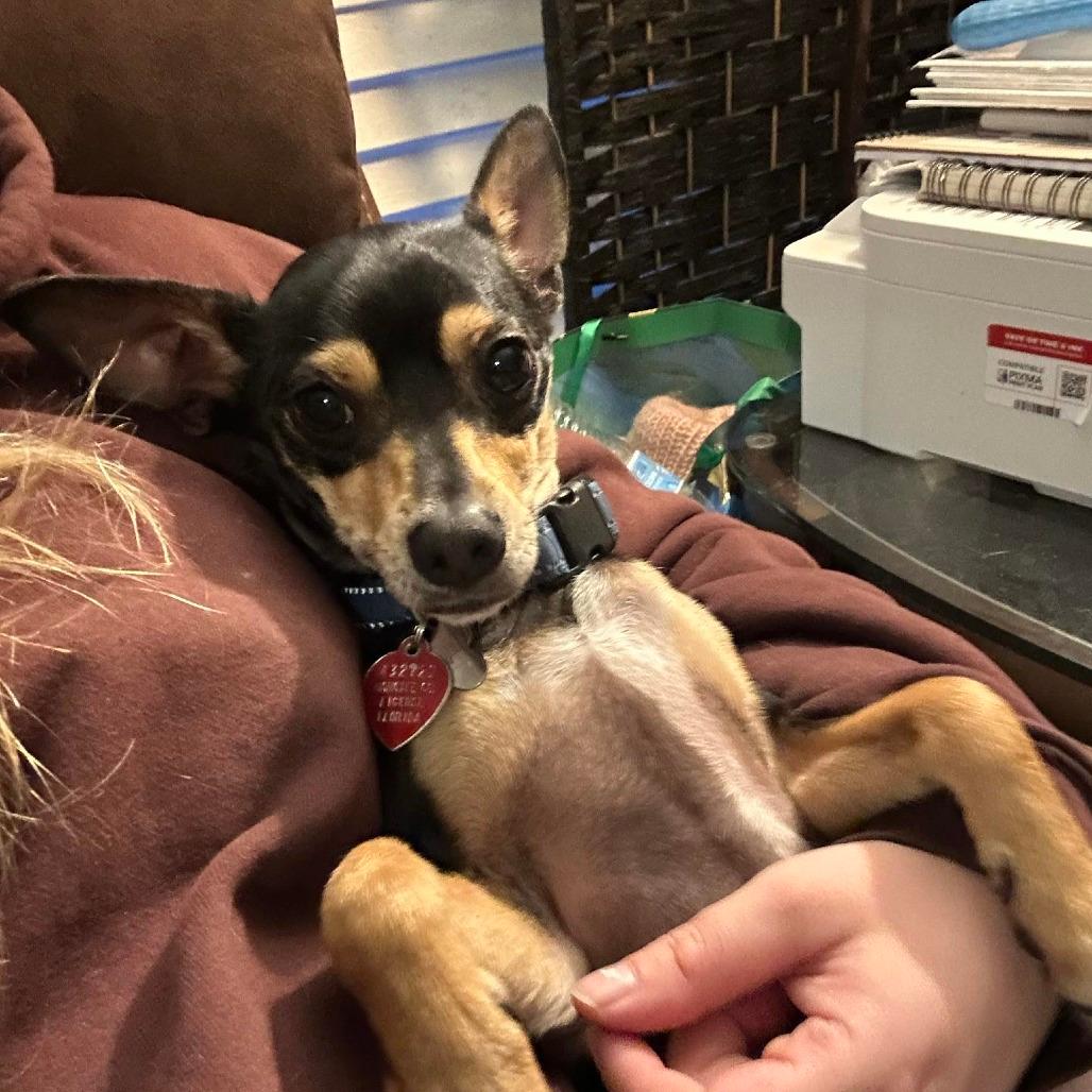 Duke