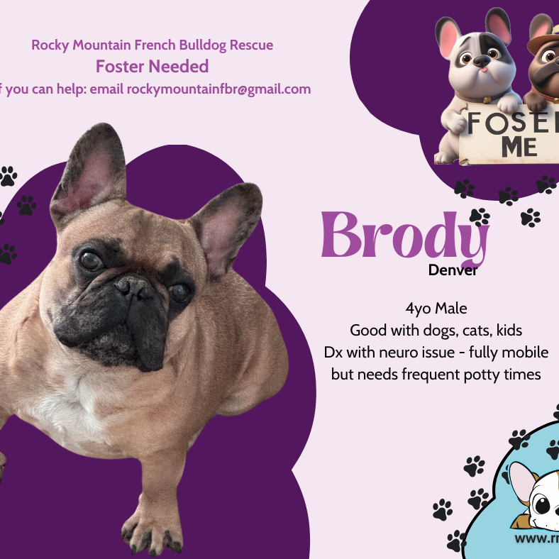 Brody