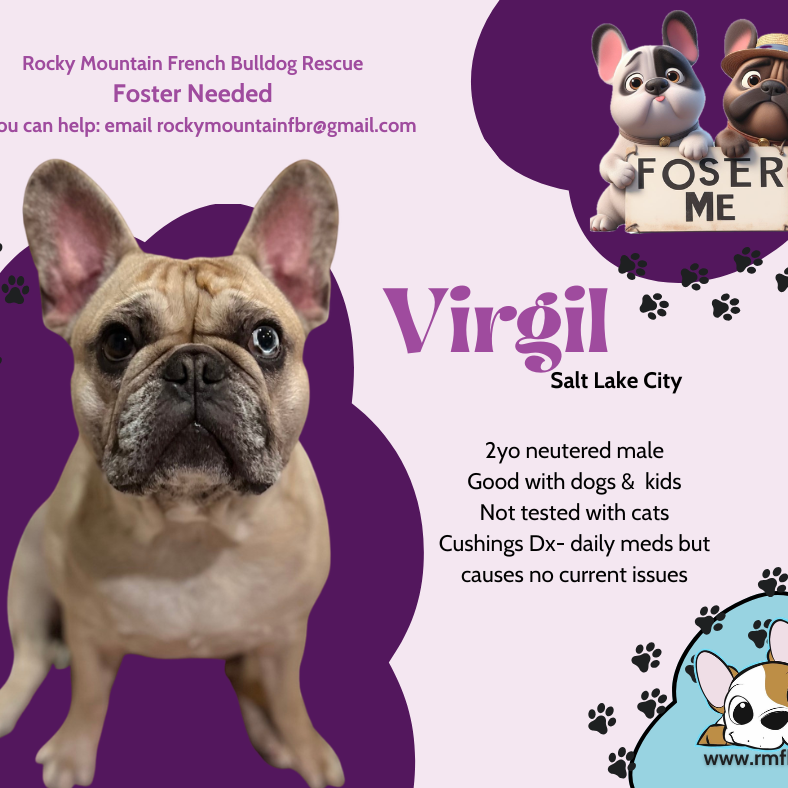 Virgil