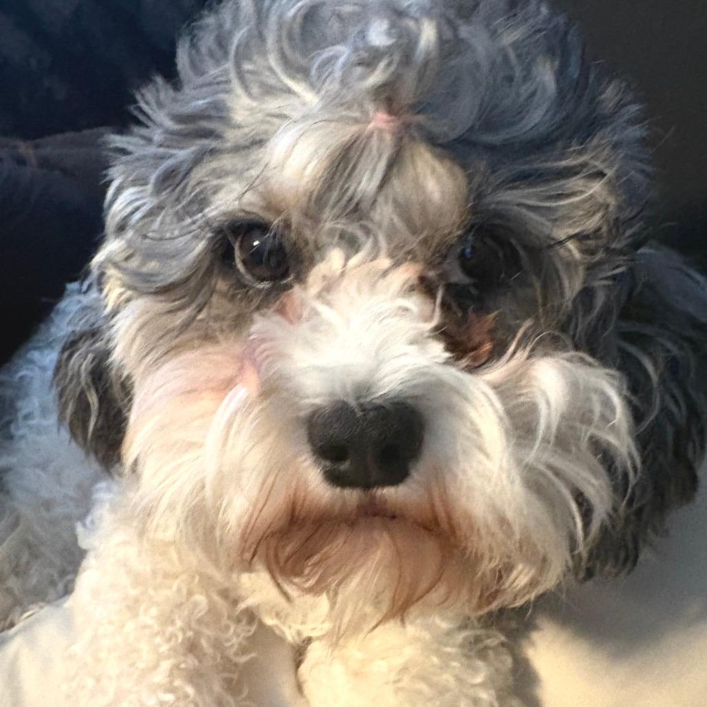 Lola