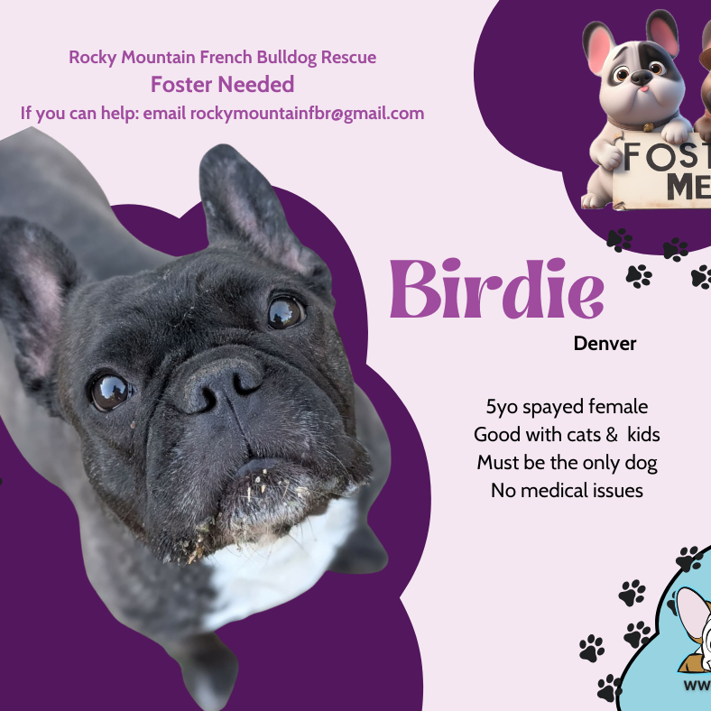 Birdie 
