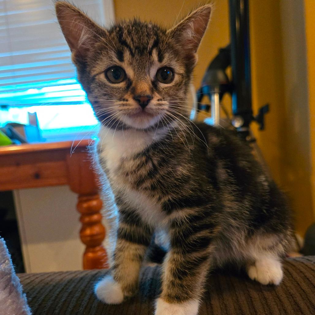 Minnie