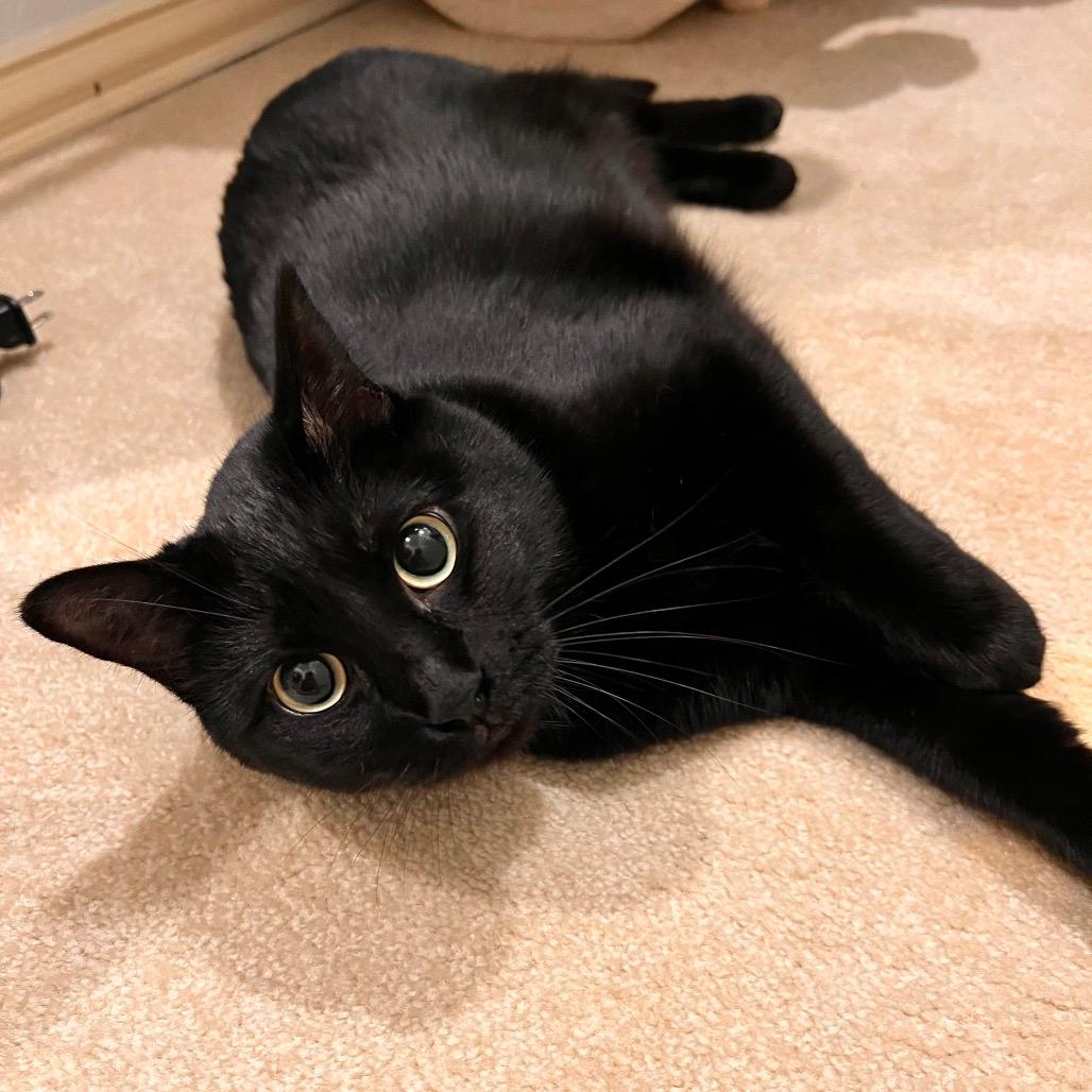 Maggie 
