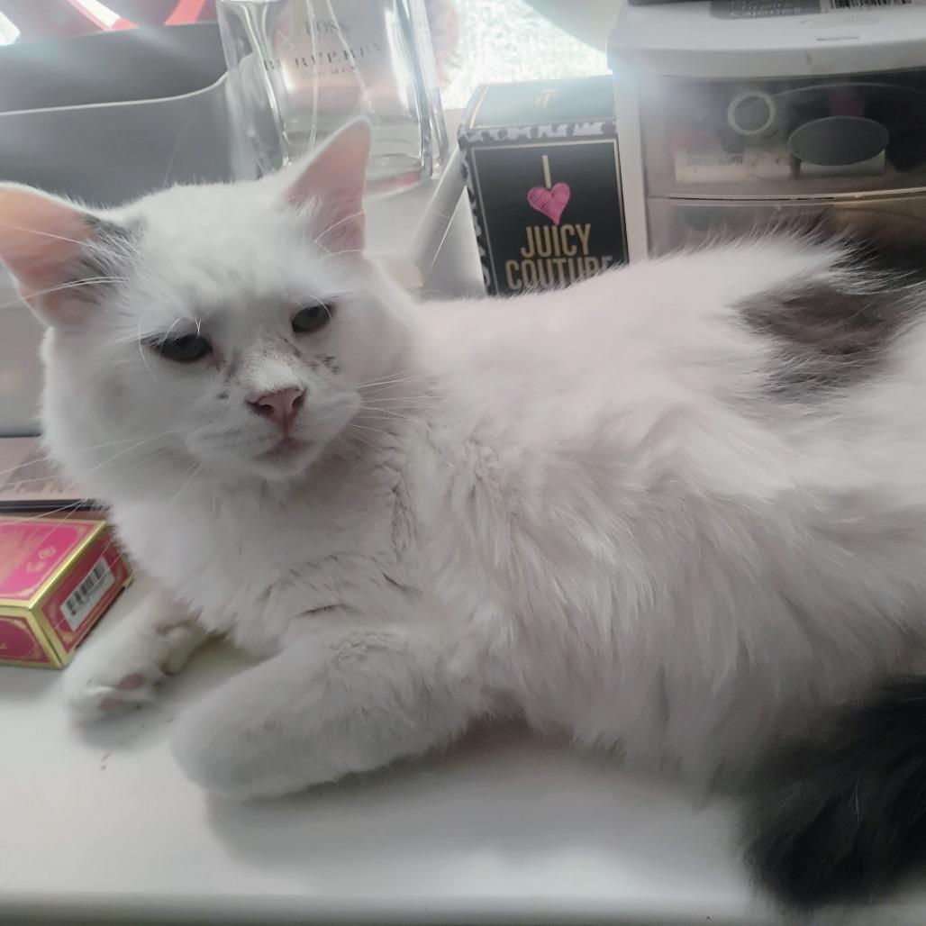 Casper 