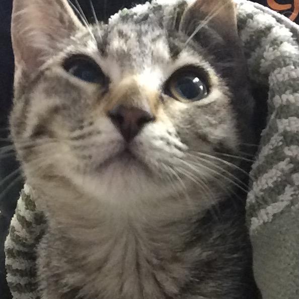 Morita 