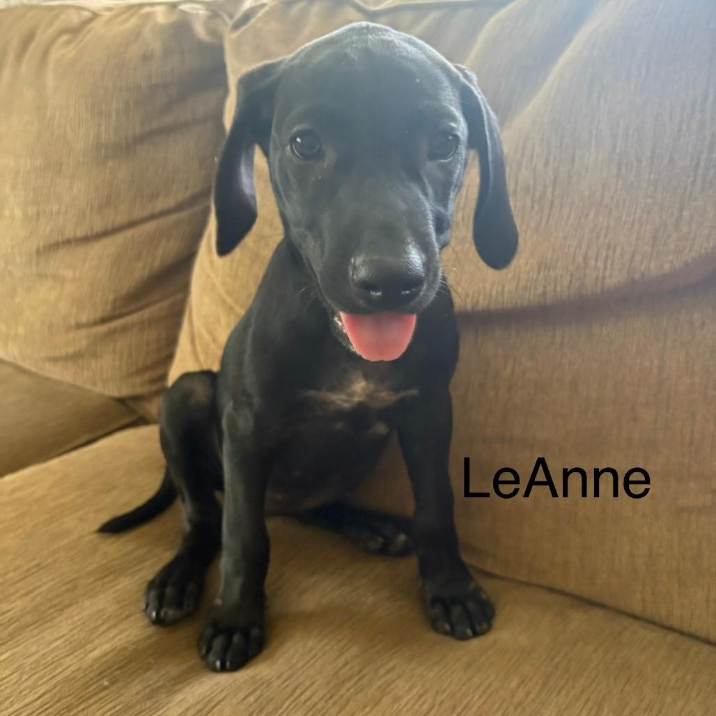 LeAnne