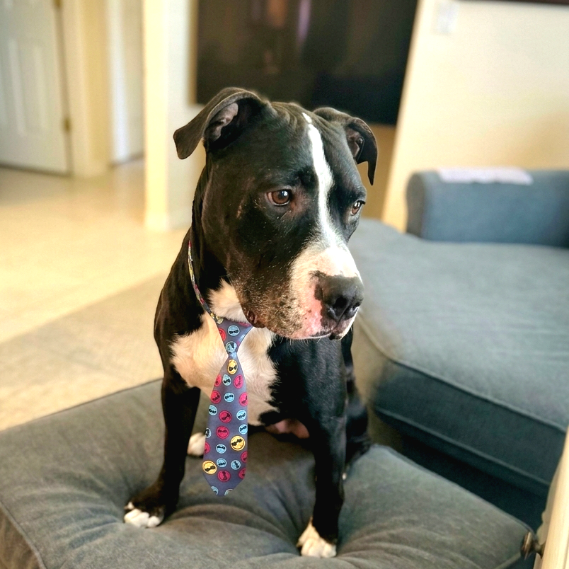 Dexter Luther