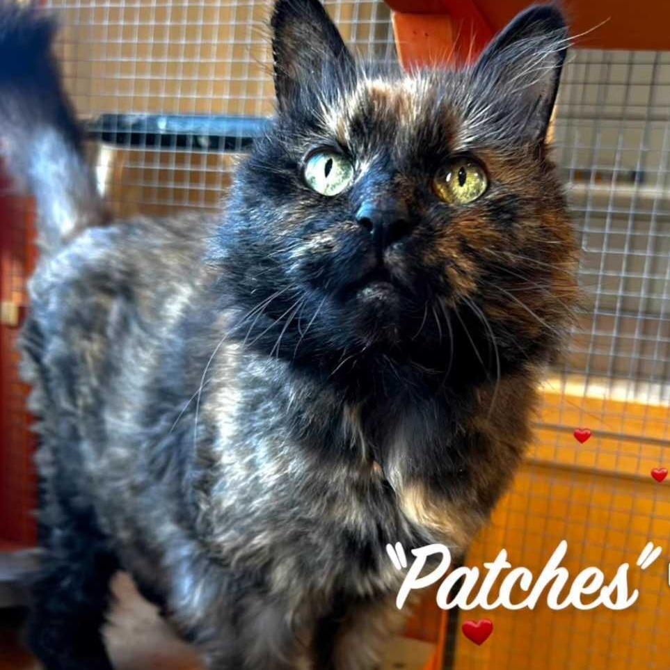Patches