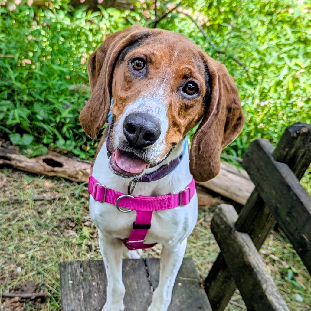 Norma Jean