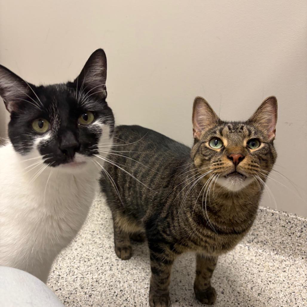 Josh (& Cappuccino) - We're a bonded pair!