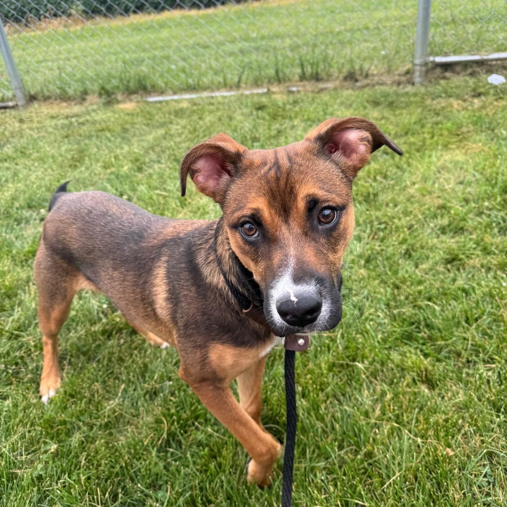 Daisy Mae 