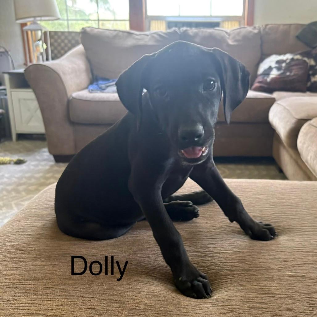 Dolly Parton