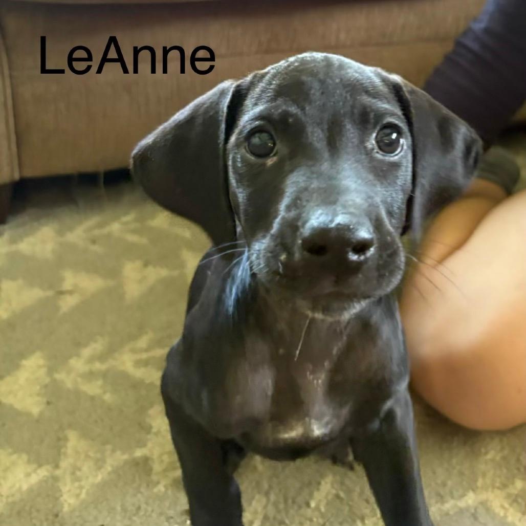 LeAnne