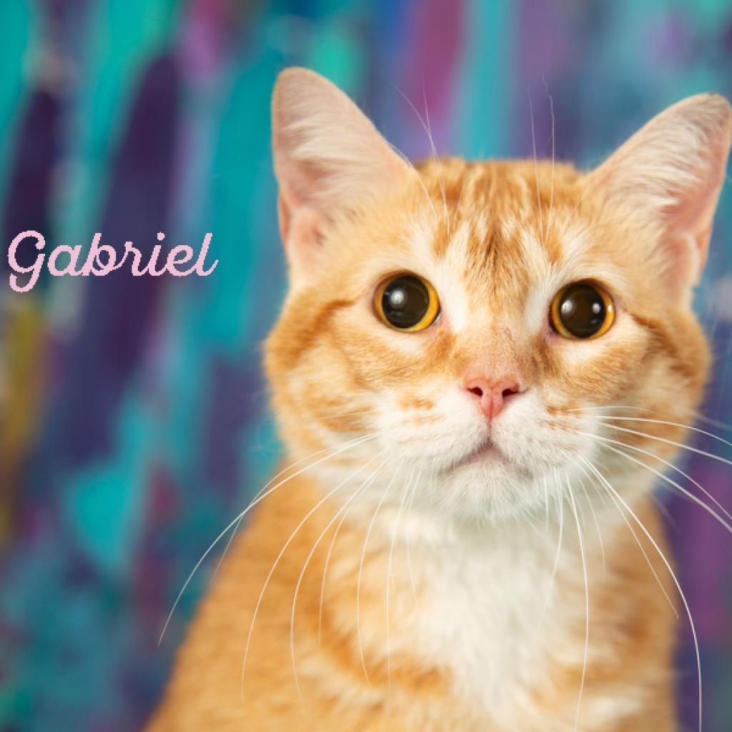 Gabriel