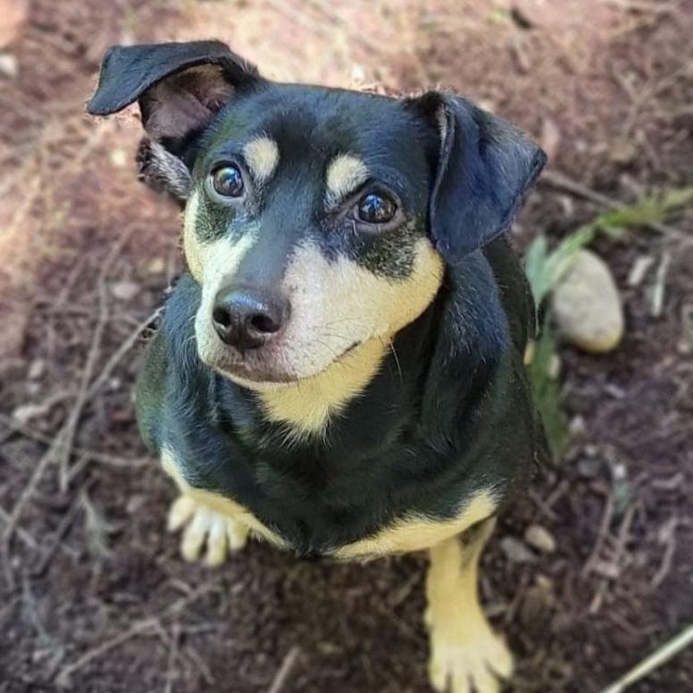 Picture of CHUCHO