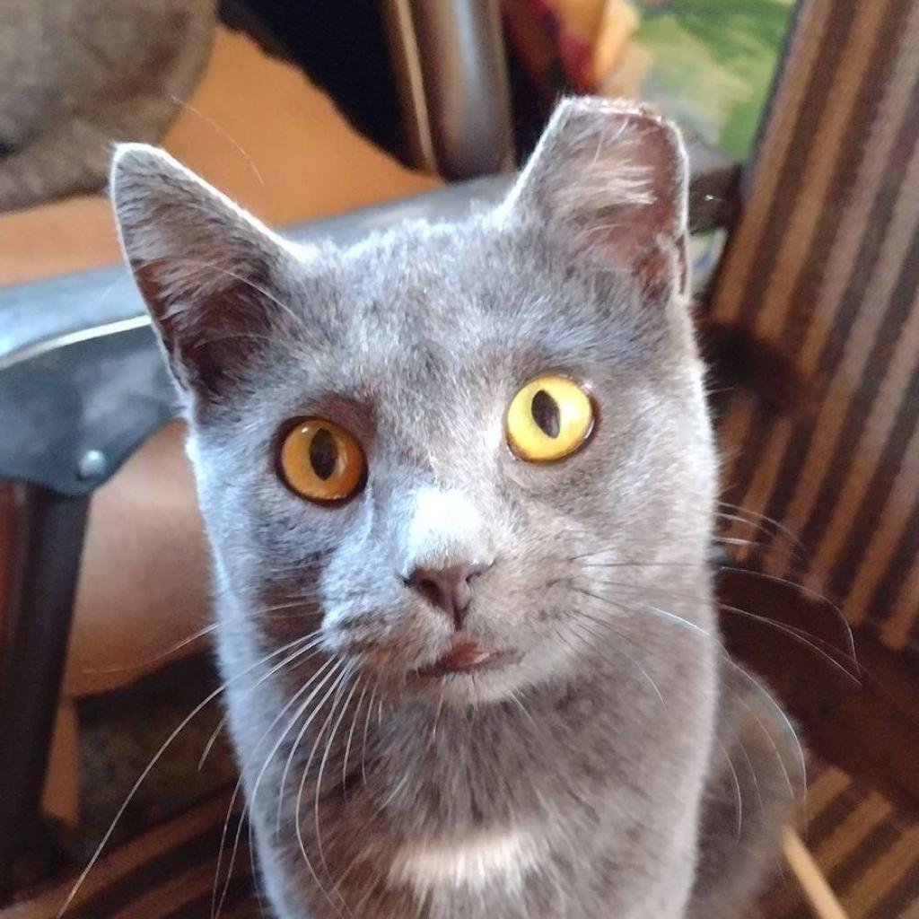 Frankie W