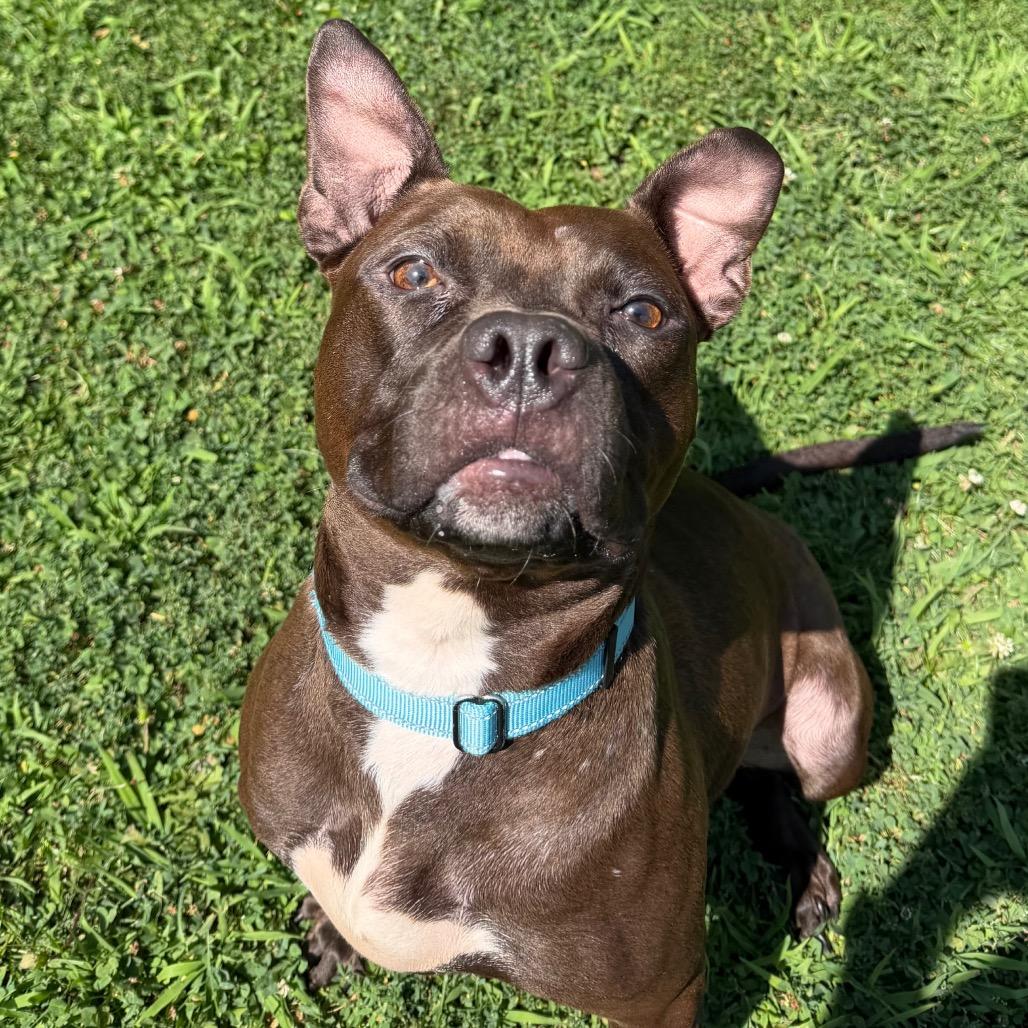 Coco