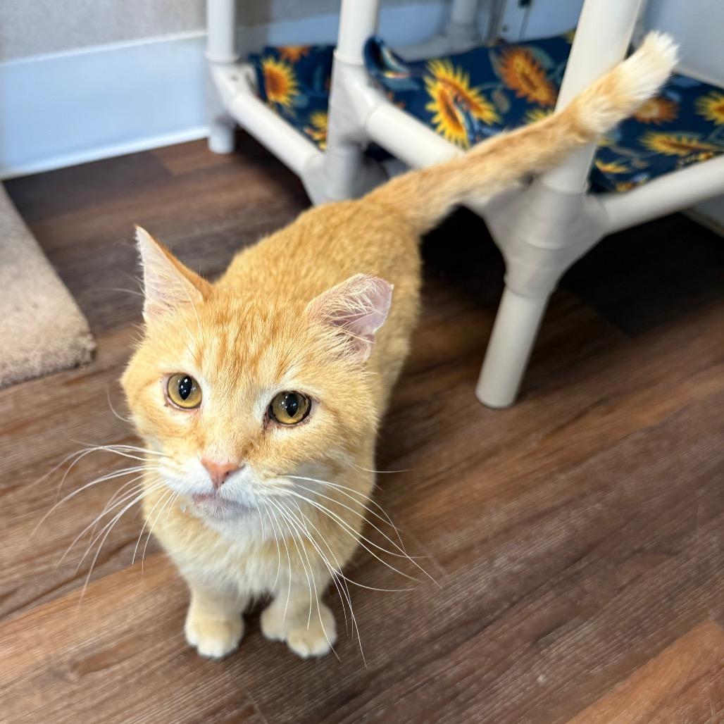 Lenny