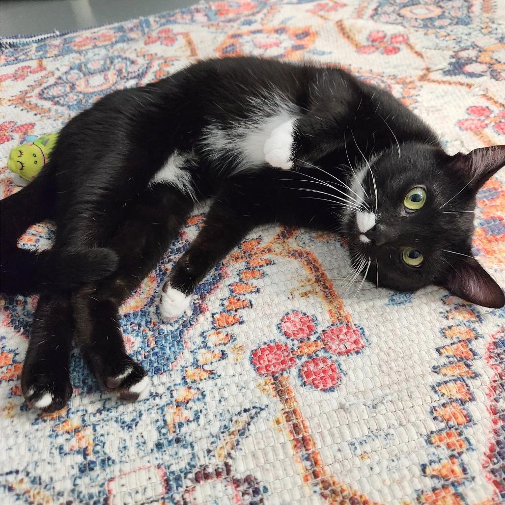 Mittens