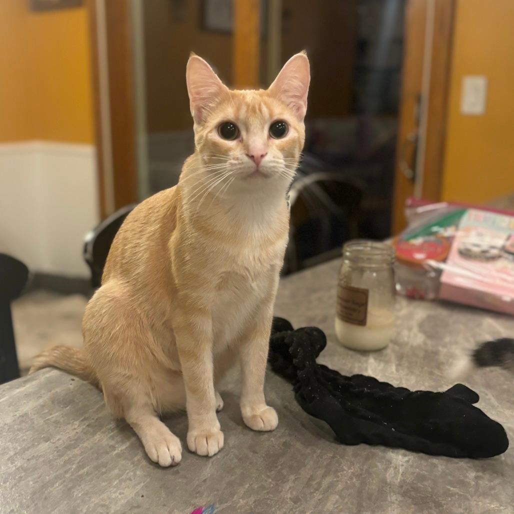 Weasley
