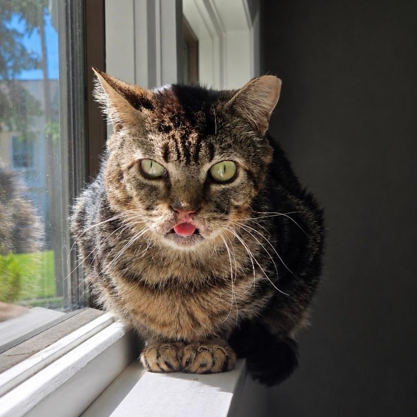 Stripey