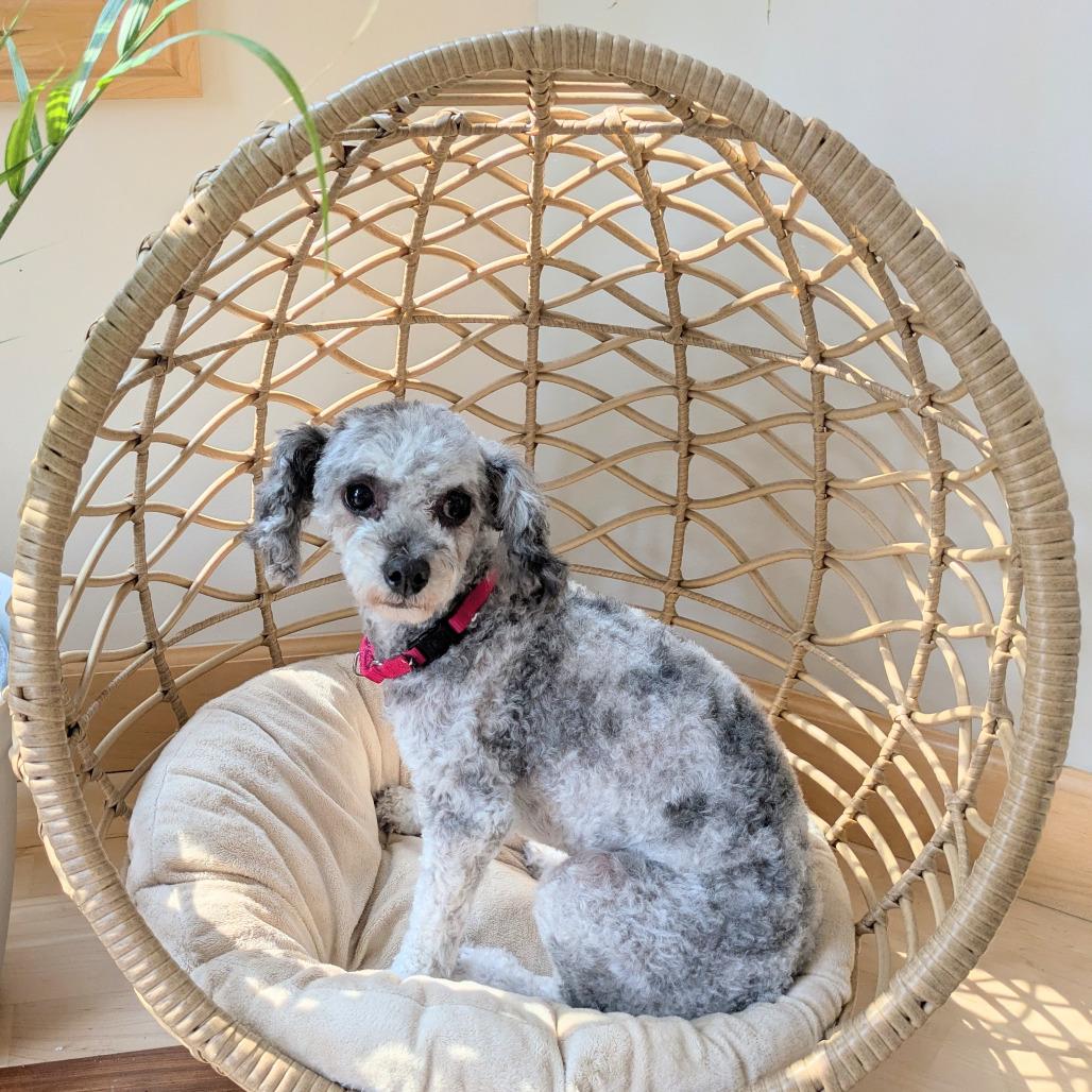 Rosie