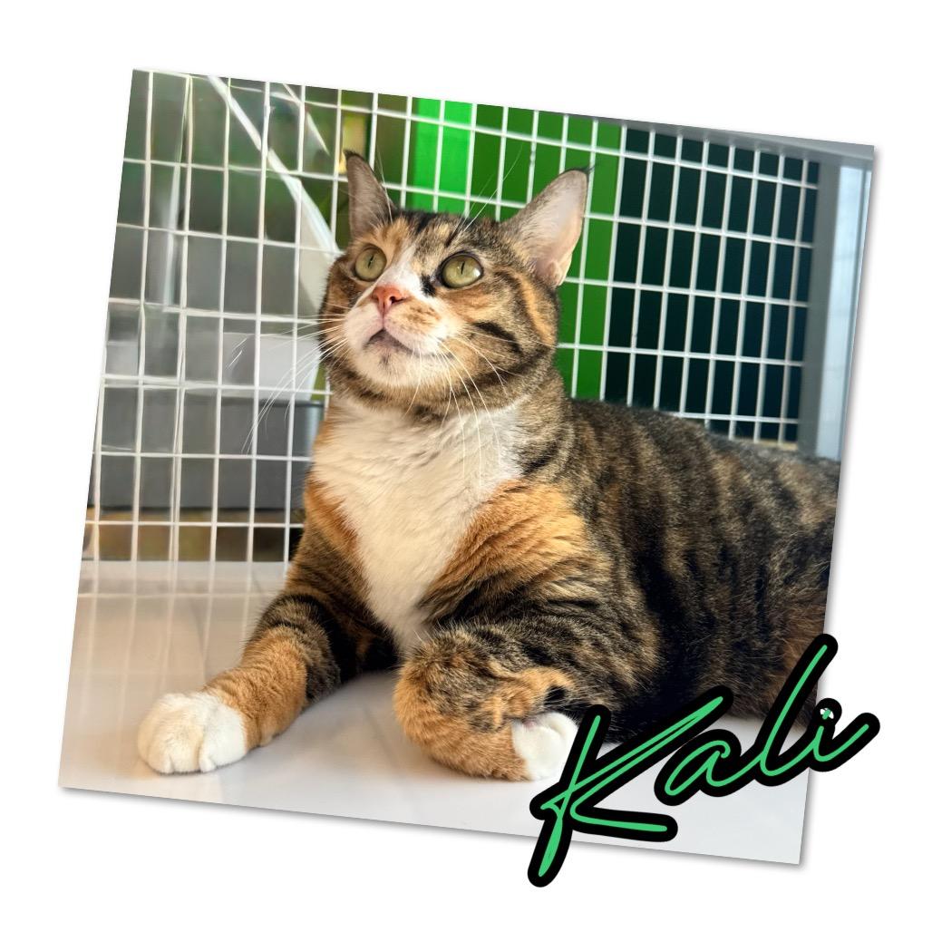 KALI