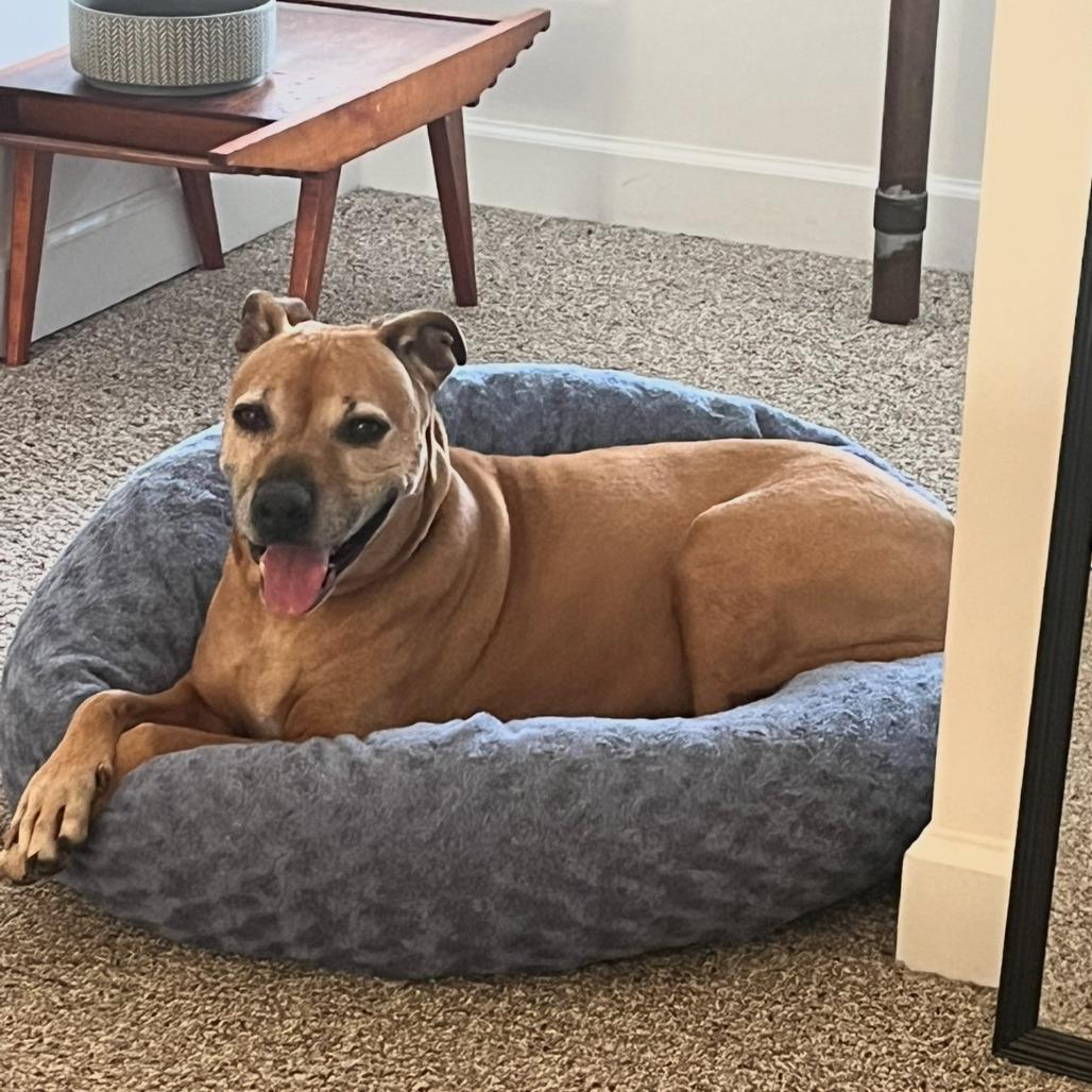 Suzie