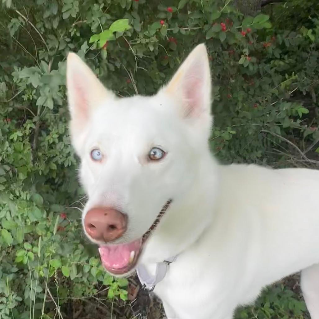 Mia