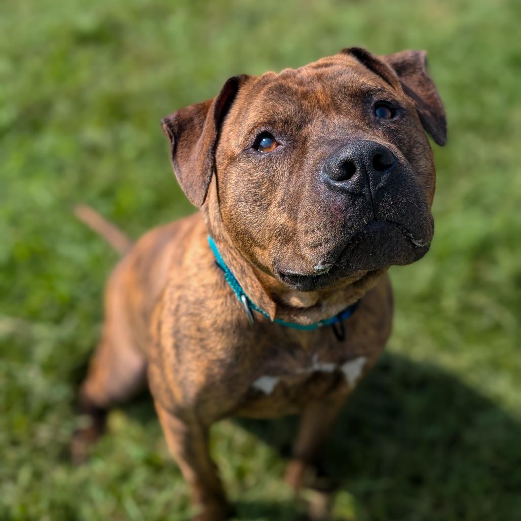 Roscoe