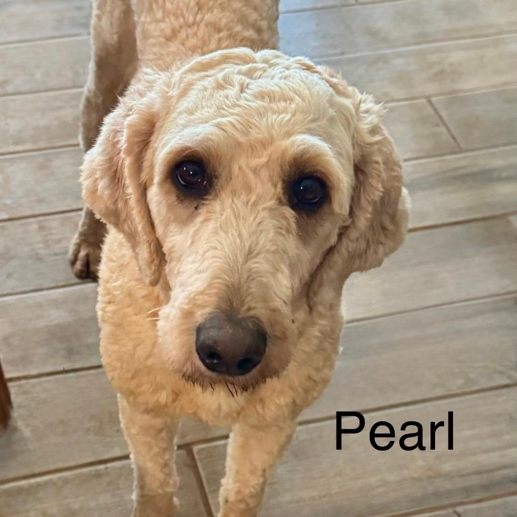 Pearl