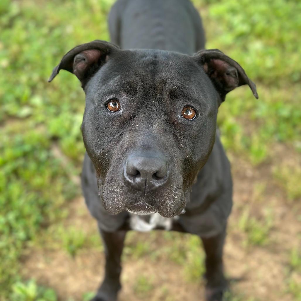 Fiona