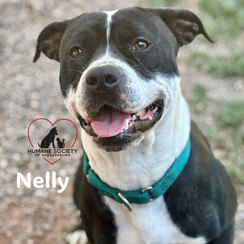 Nelly