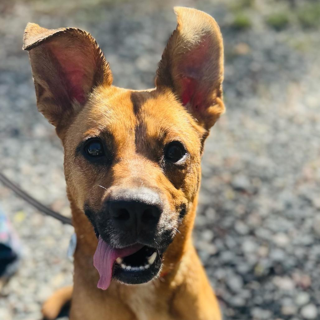 Ellie