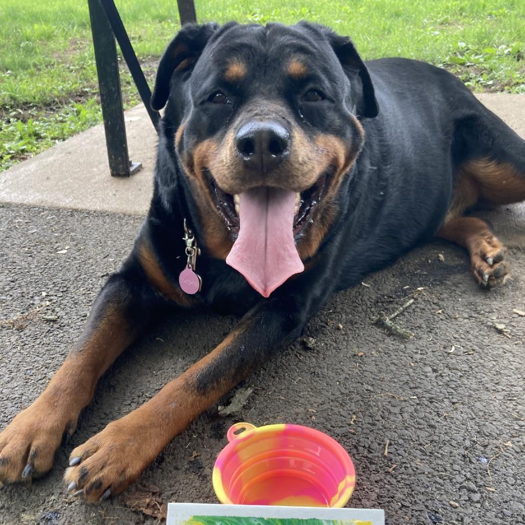 Ruby - IN FOSTER