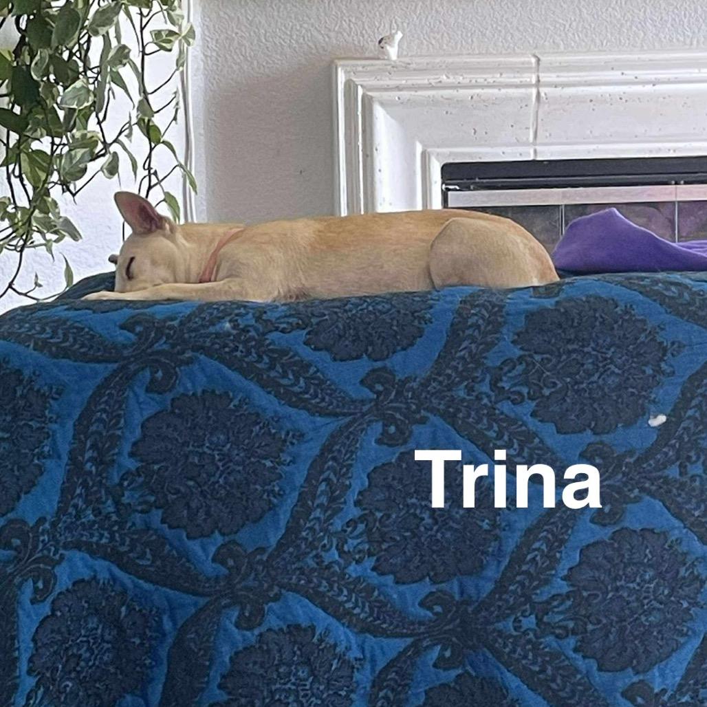 Trina