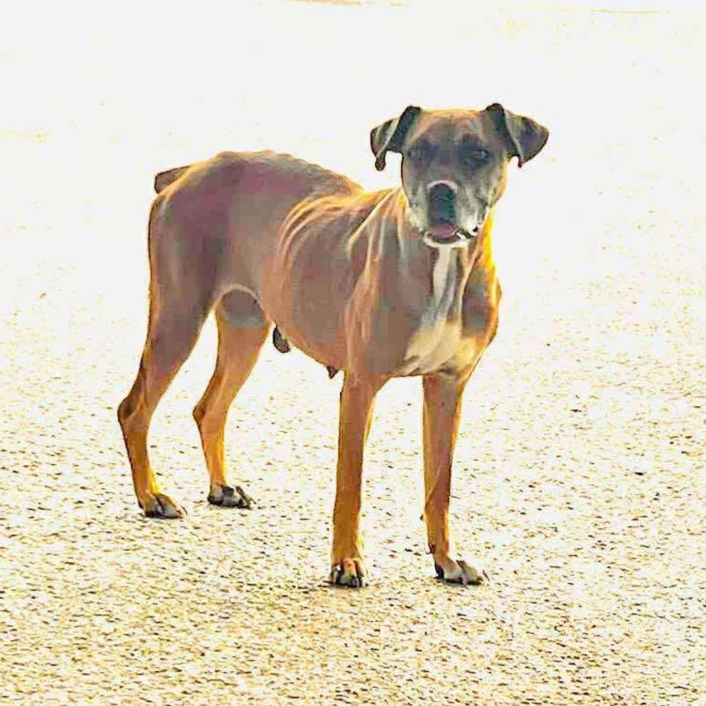 Sabine