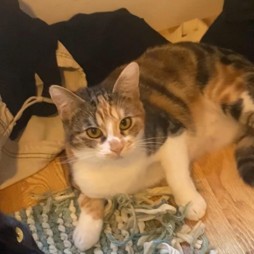 Matilda