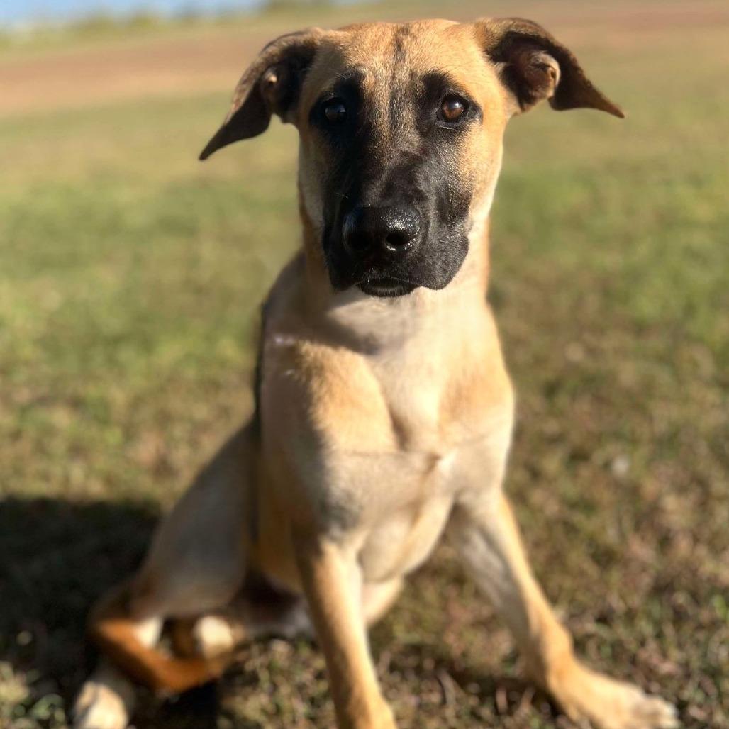Jax