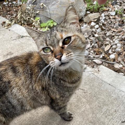 Kira