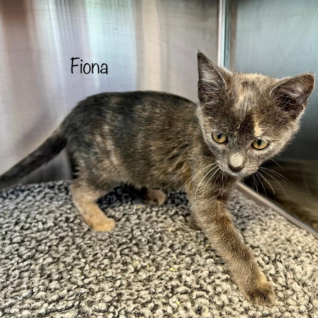 Fiona
