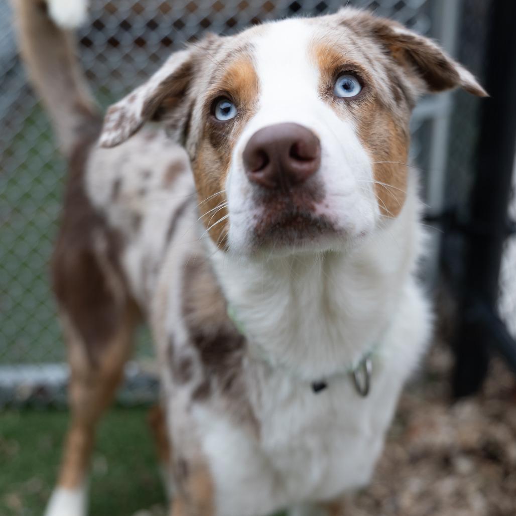 Picture of Max