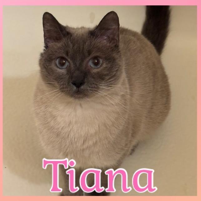 Tiana