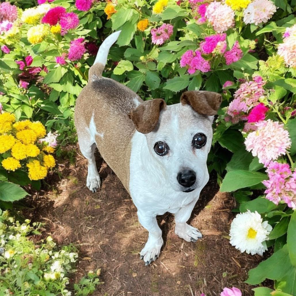 MAX (bonded w/Mickey)