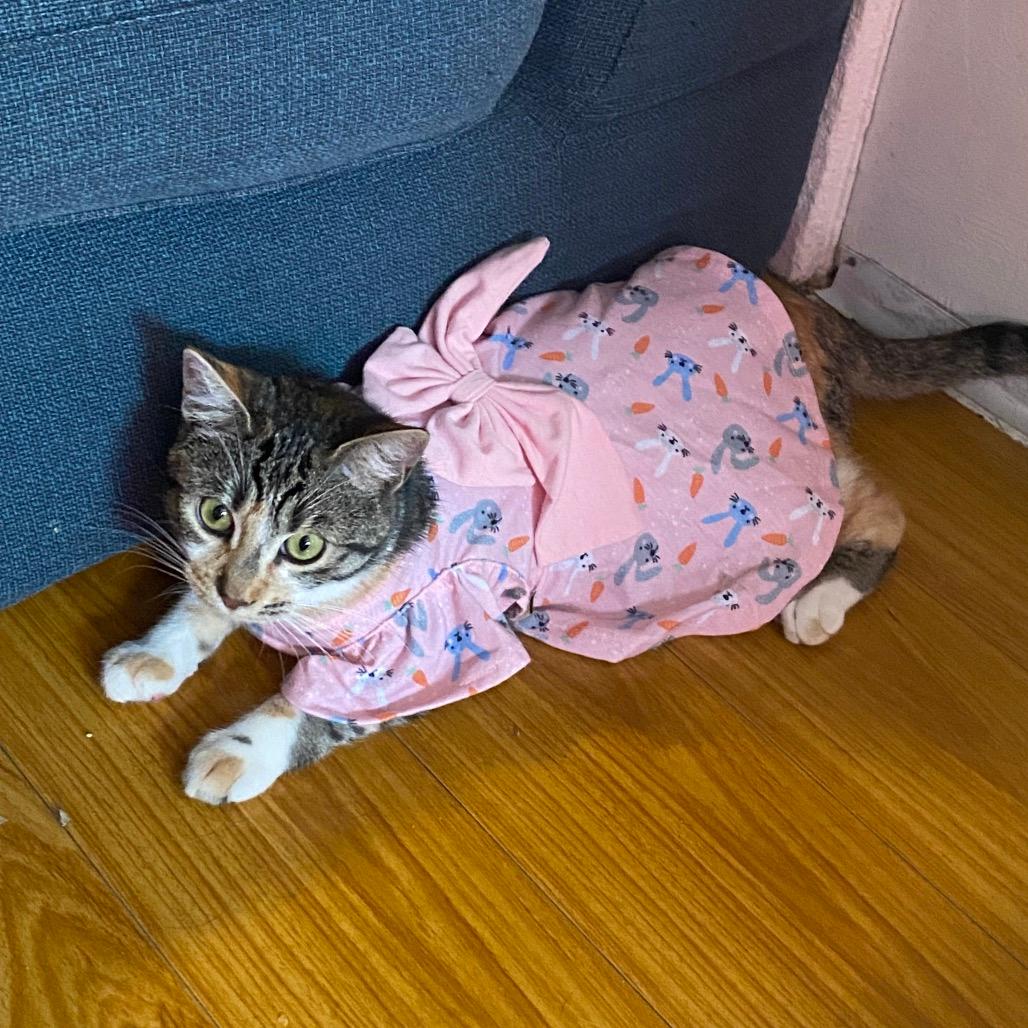 Mia