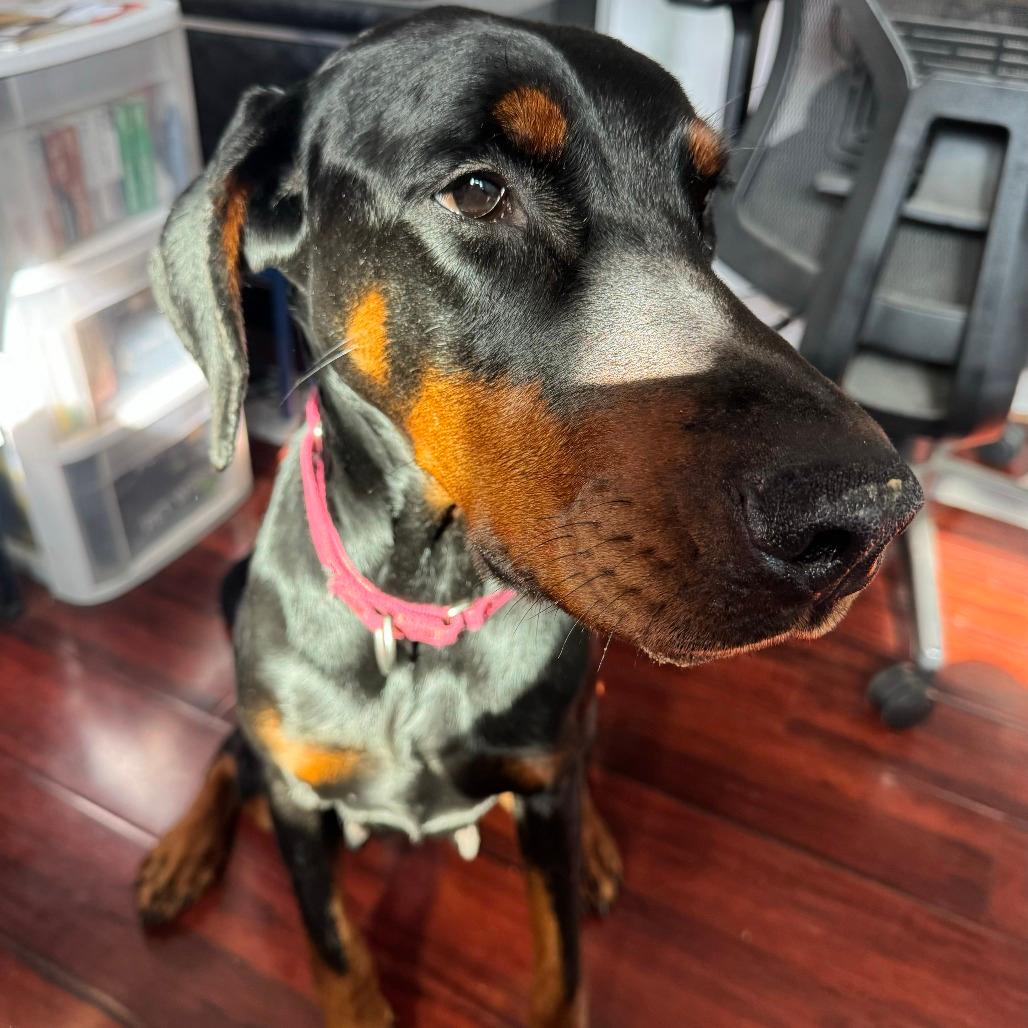 Winnie