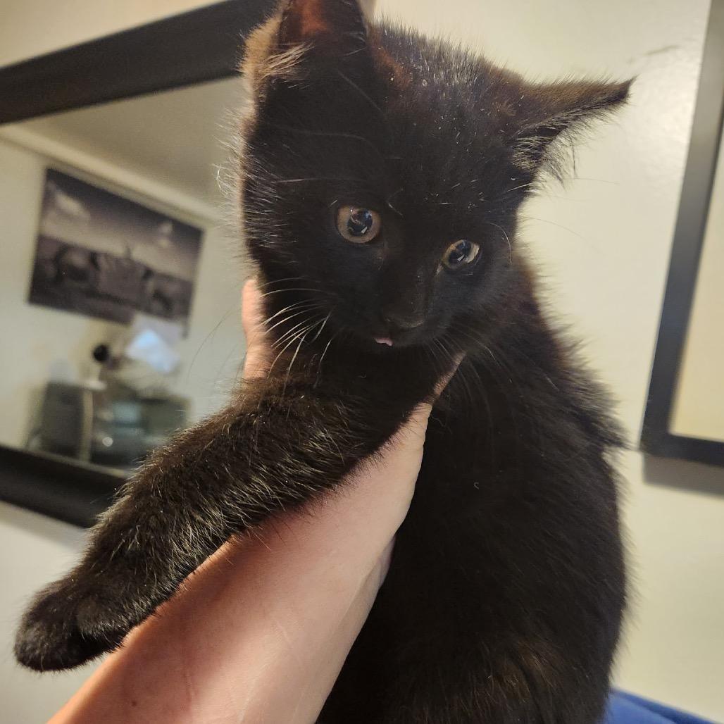 ellie