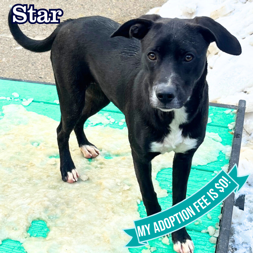 Star