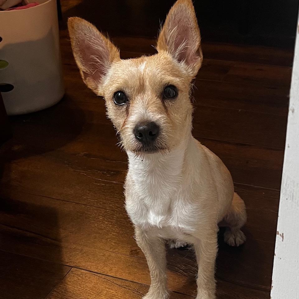 Wally